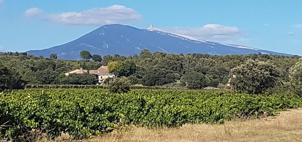 Le Clos Saint Saourde ボーム・ド・ヴニーズ エクステリア 写真